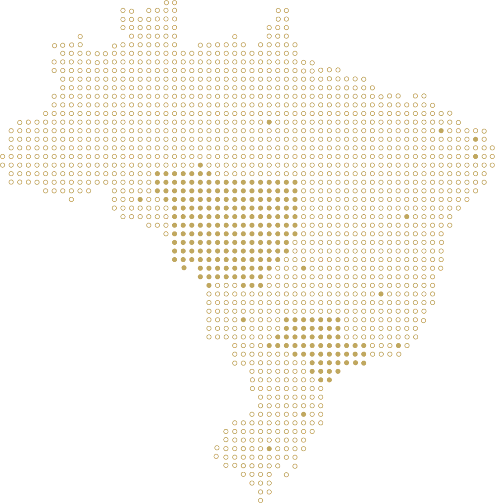 mapa-brasil-mns mapa-brasil-mns